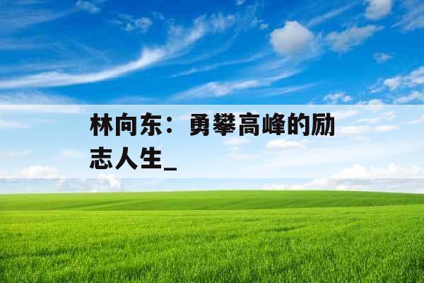林向东：勇攀高峰的励志人生_