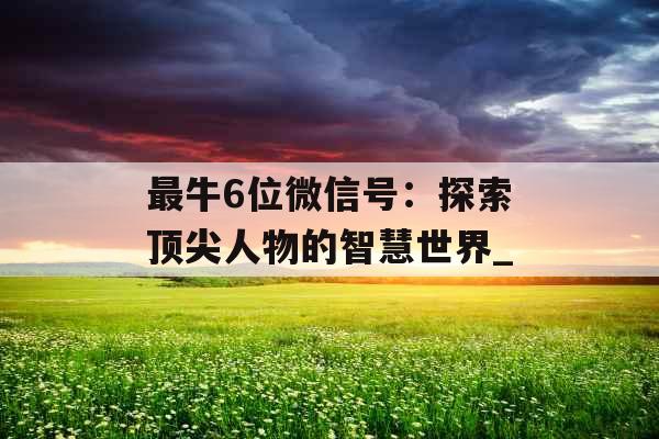 最牛6位微信号：探索顶尖人物的智慧世界_