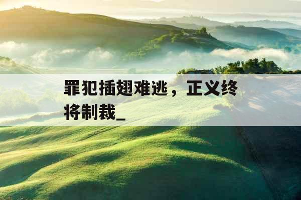 罪犯插翅难逃，正义终将制裁_
