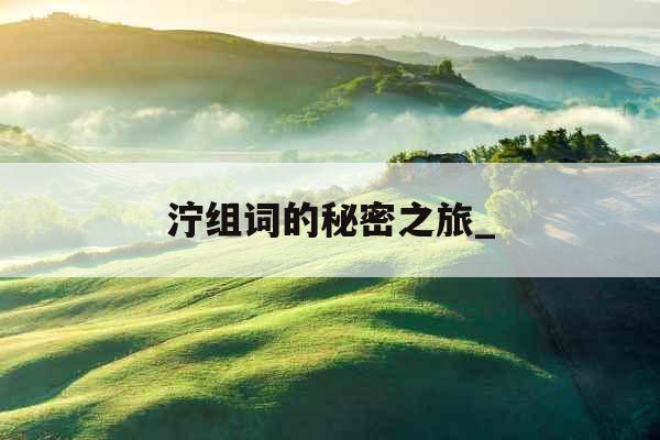 泞组词的秘密之旅_