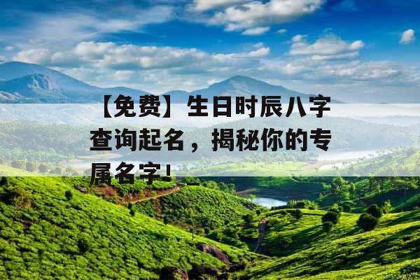 【免费】生日时辰八字查询起名，揭秘你的专属名字！_