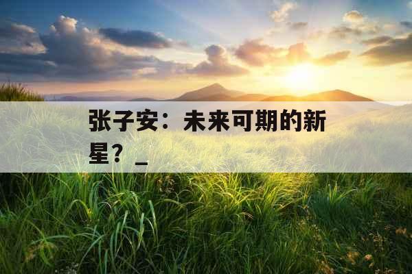 张子安：未来可期的新星？_