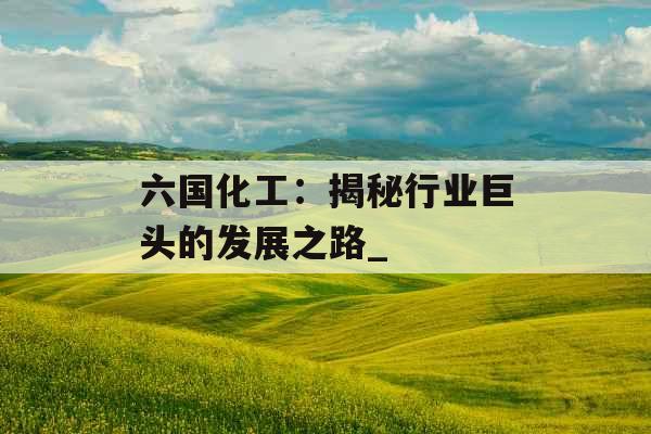 六国化工：揭秘行业巨头的发展之路_