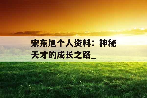 宋东旭个人资料：神秘天才的成长之路_