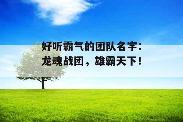 好听霸气的团队名字：龙魂战团，雄霸天下！_