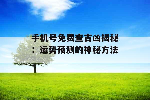 手机号免费查吉凶揭秘：运势预测的神秘方法_