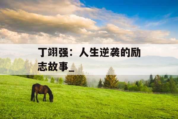 丁翊强：人生逆袭的励志故事_