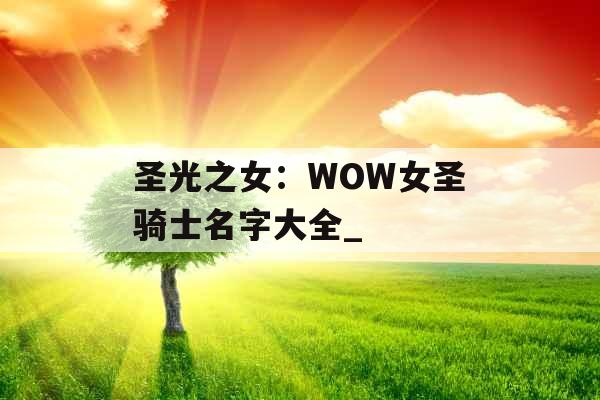 圣光之女：WOW女圣骑士名字大全_
