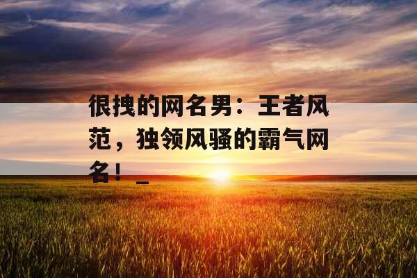 很拽的网名男：王者风范，独领风骚的霸气网名！_