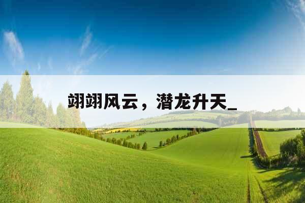 翊翊风云，潜龙升天_