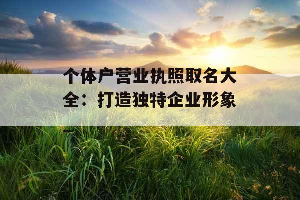个体户营业执照取名大全：打造独特企业形象_