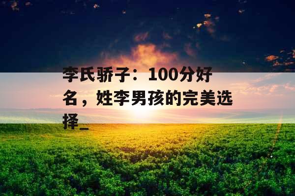 李氏骄子：100分好名，姓李男孩的完美选择_