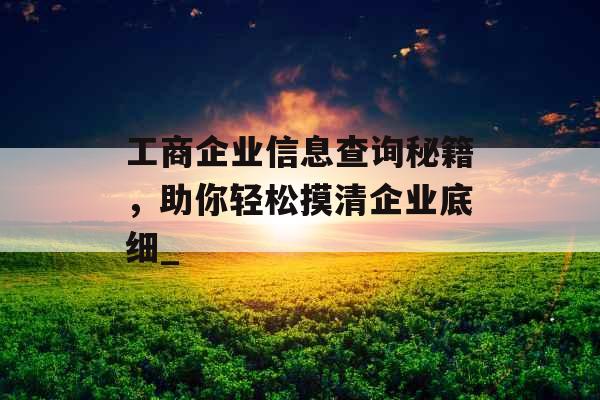 工商企业信息查询秘籍，助你轻松摸清企业底细_