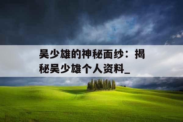 吴少雄的神秘面纱：揭秘吴少雄个人资料_