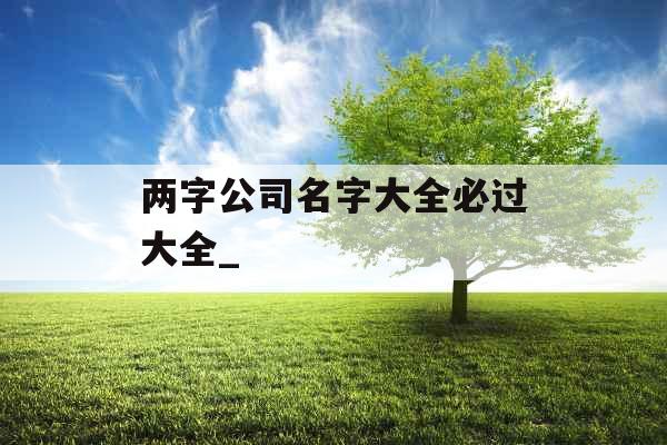 两字公司名字大全必过大全_