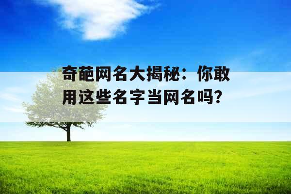 奇葩网名大揭秘：你敢用这些名字当网名吗？_