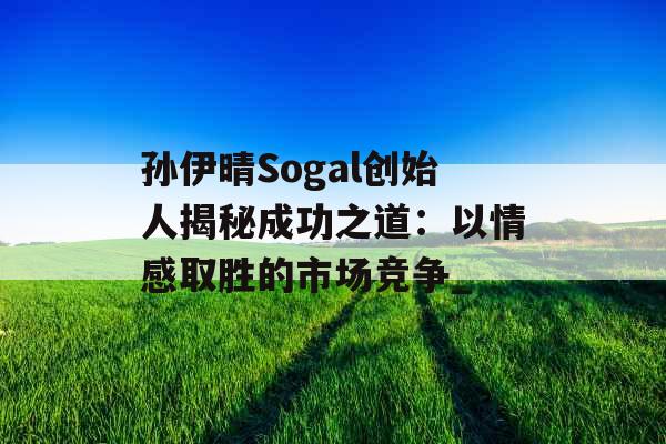 孙伊晴Sogal创始人揭秘成功之道：以情感取胜的市场竞争_