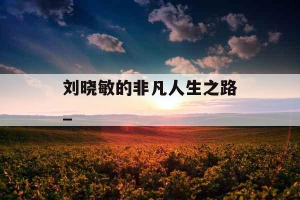 刘晓敏的非凡人生之路_