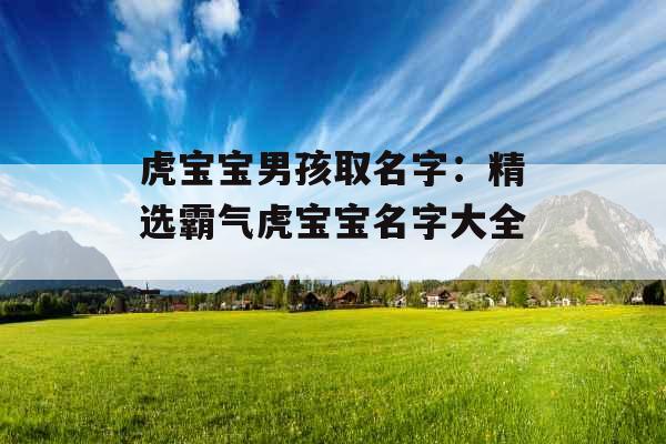 虎宝宝男孩取名字：精选霸气虎宝宝名字大全_