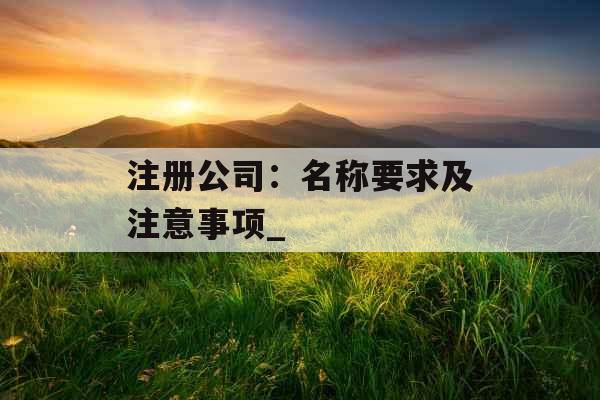 注册公司：名称要求及注意事项_