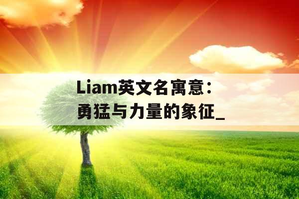 Liam英文名寓意：勇猛与力量的象征_