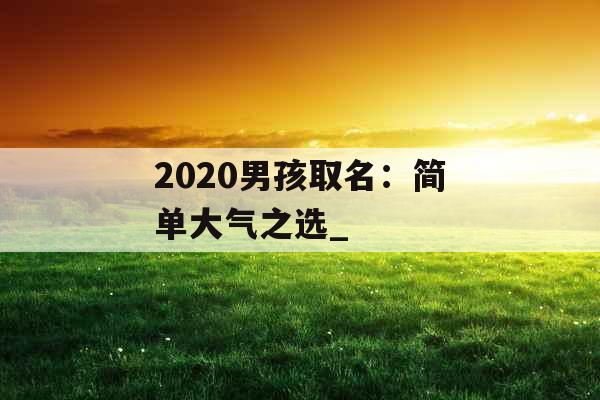 2020男孩取名：简单大气之选_