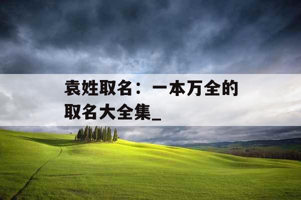 袁姓取名：一本万全的取名大全集_