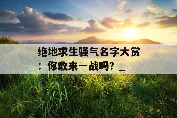 绝地求生骚气名字大赏：你敢来一战吗？_