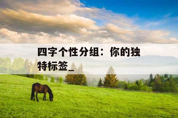 四字个性分组：你的独特标签_