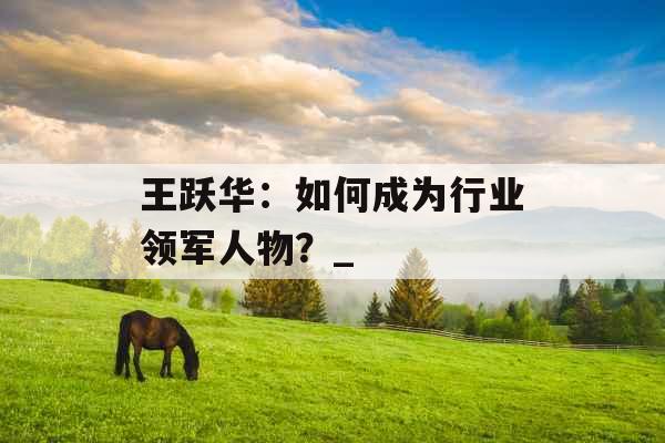 王跃华：如何成为行业领军人物？_