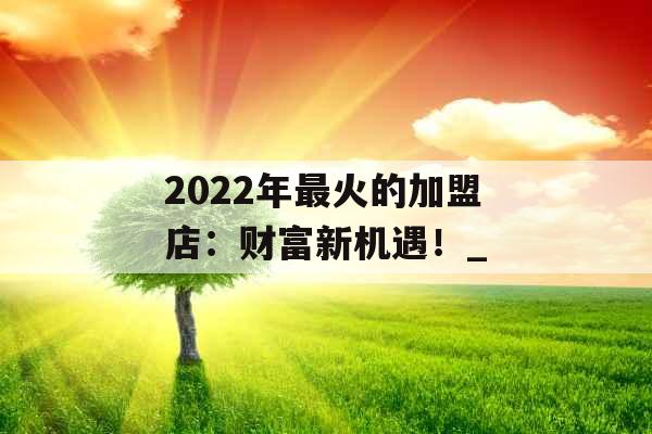 2022年最火的加盟店：财富新机遇！_