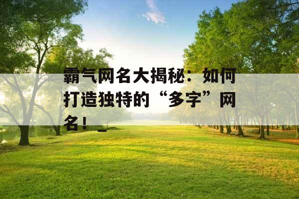 霸气网名大揭秘：如何打造独特的“多字”网名！_