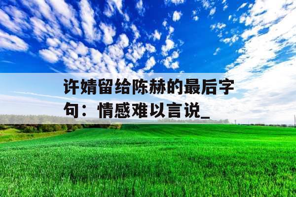 许婧留给陈赫的最后字句：情感难以言说_