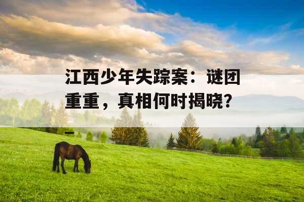 江西少年失踪案：谜团重重，真相何时揭晓？_