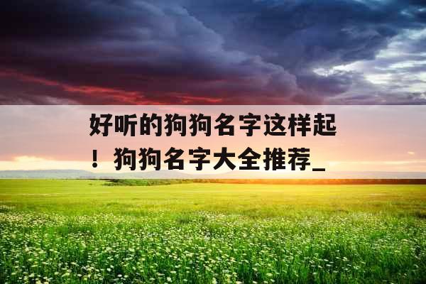 好听的狗狗名字这样起！狗狗名字大全推荐_