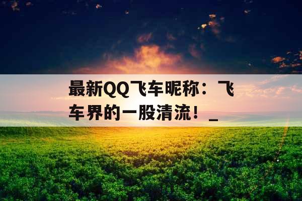 最新QQ飞车昵称：飞车界的一股清流！_