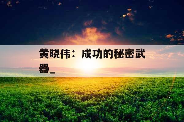 黄晓伟：成功的秘密武器_