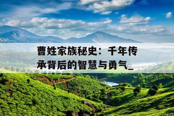 曹姓家族秘史：千年传承背后的智慧与勇气_