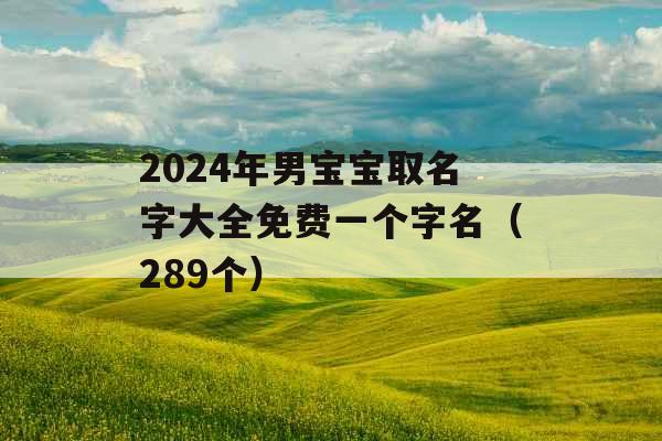 2024年男宝宝取名字大全免费一个字名（289个）