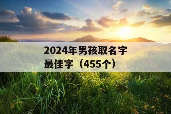 2024年男孩取名字最佳字（455个）