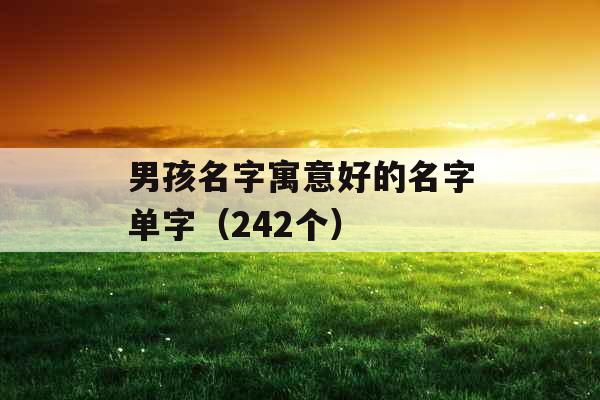 男孩名字寓意好的名字单字（242个）