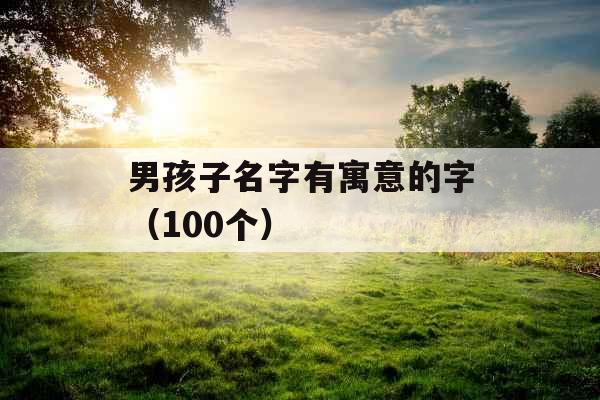 男孩子名字有寓意的字（100个）