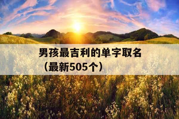 男孩最吉利的单字取名（最新505个）