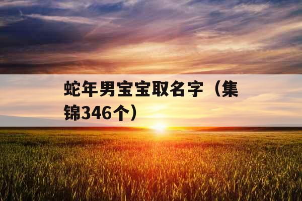 蛇年男宝宝取名字（集锦346个）