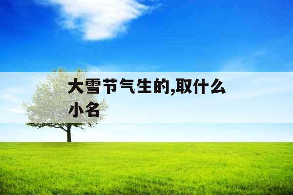 大雪节气生的,取什么小名