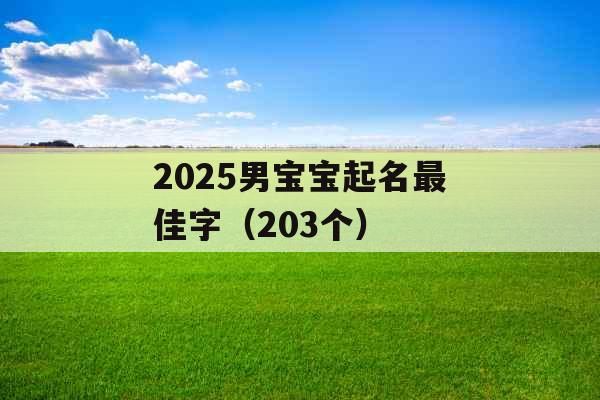 2025男宝宝起名最佳字（203个）