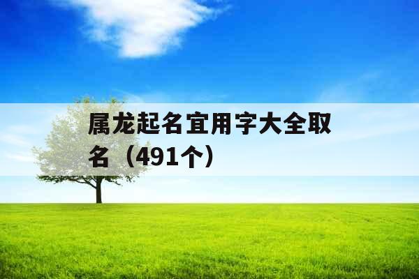 属龙起名宜用字大全取名（491个）