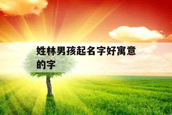 姓林男孩起名字好寓意的字