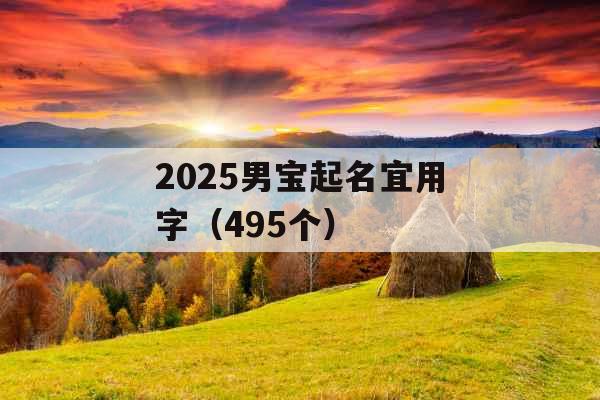 2025男宝起名宜用字（495个）