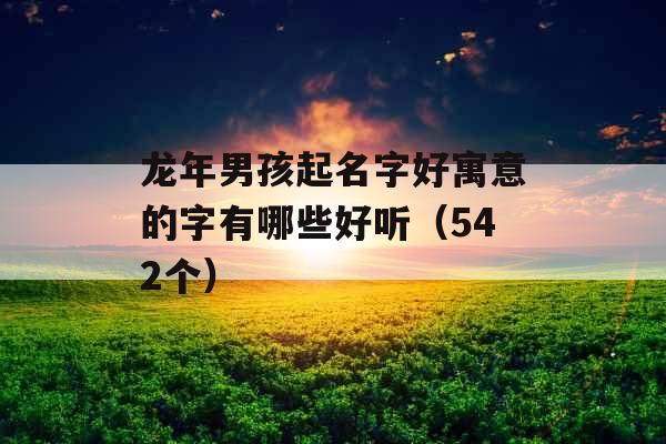 龙年男孩起名字好寓意的字有哪些好听（542个）